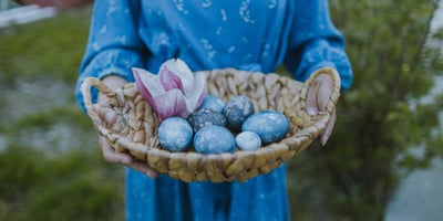 Understanding the Importance of Diversification When Investing